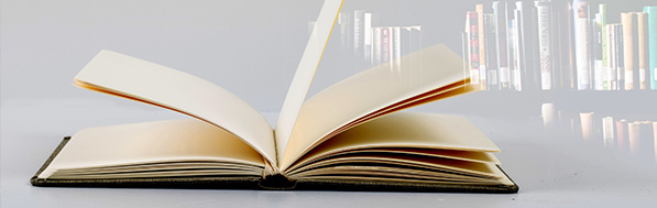 行業(yè)動態(tài)